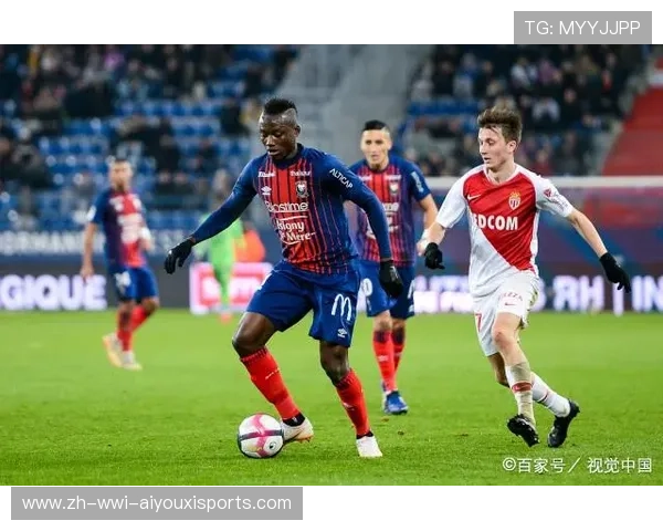 法甲外援市场策略分析及对球队商业价值的提升